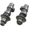 Cam Set for Chain Drive
