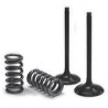 Valve   Spring Kit