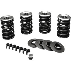 Valve Spring Kit