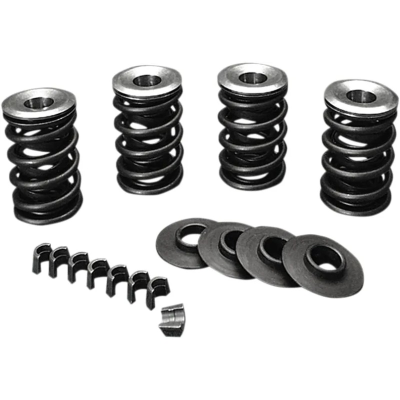 Valve Spring Kit