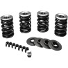 Valve Spring Kit