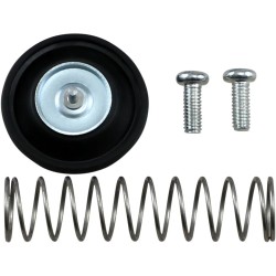 Air Cut-Off Valve Rebuild Kit