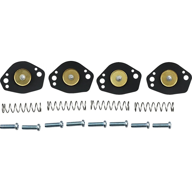 Air Cut-Off Valve Rebuild Kit