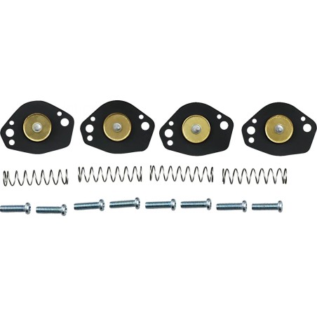 Air Cut-Off Valve Rebuild Kit