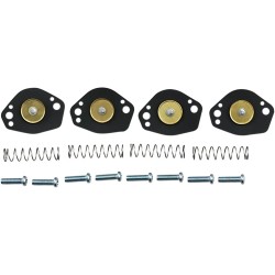 Air Cut-Off Valve Rebuild Kit