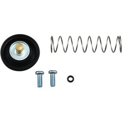 Air Cut-Off Valve Rebuild Kit