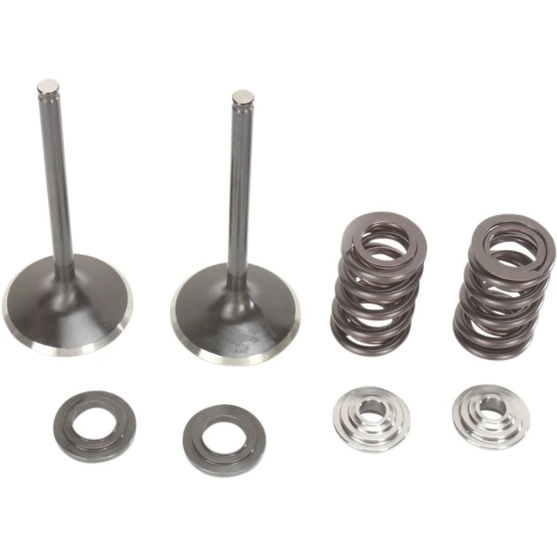 Intake Valve and Spring Kit