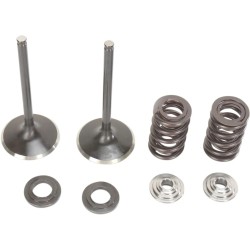 Intake Valve and Spring Kit