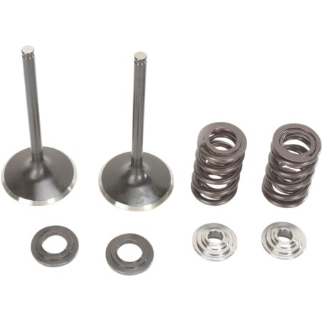 Intake Valve and Spring Kit