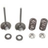 Intake Valve and Spring Kit