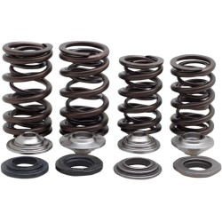 Valve Spring Kit