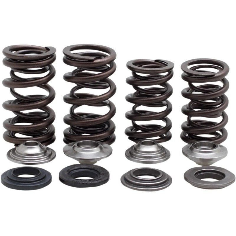 Valve Spring Kit