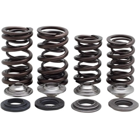 Valve Spring Kit