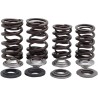 Valve Spring Kit