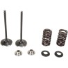 Kit de conversion soupape et ressort d'admission inox