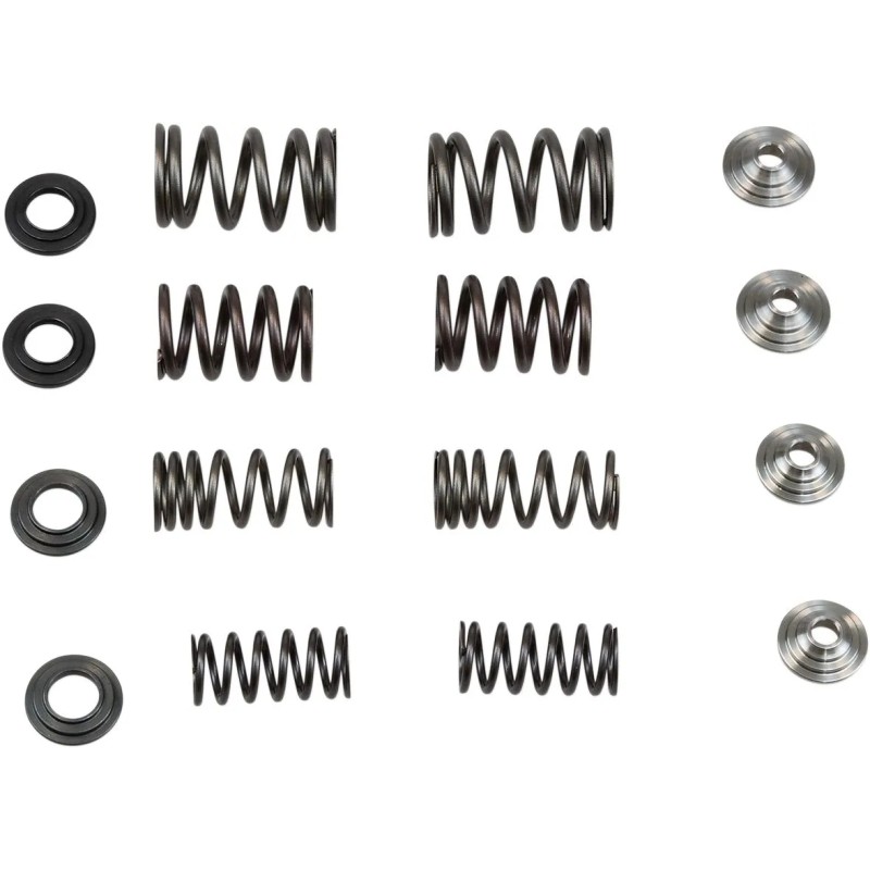 Valve Spring Kit