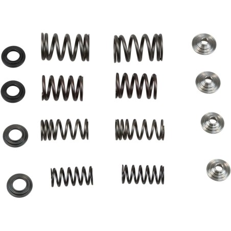 Valve Spring Kit