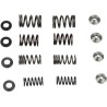 Valve Spring Kit