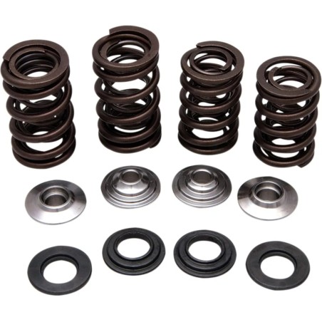 Valve Spring Kit