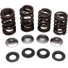 Valve Spring Kit