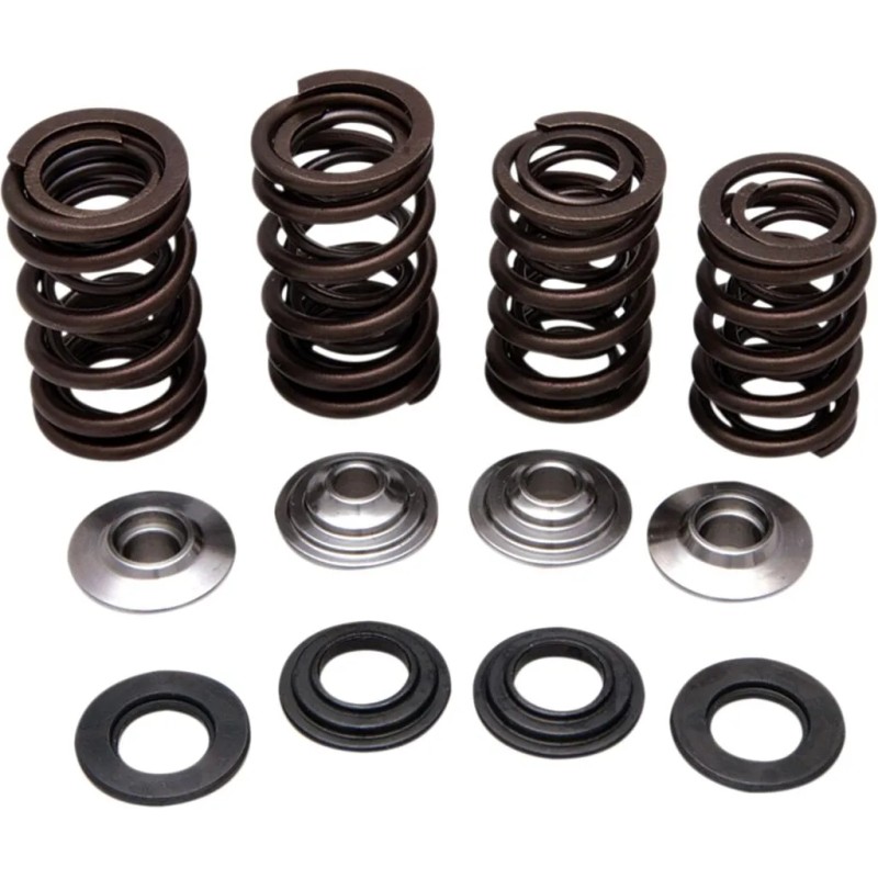 Lightweight Racing Valve Spring Kit