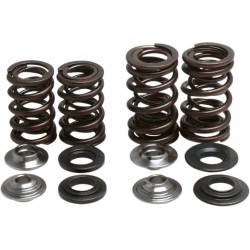 Lightweight Racing Valve Spring Kit