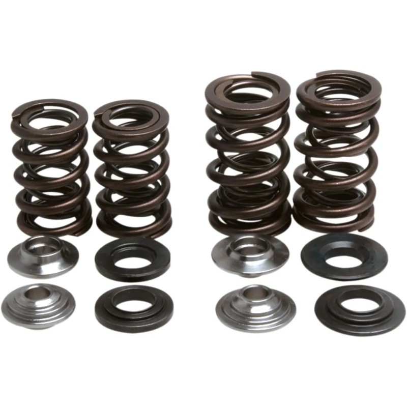 Lightweight Racing Valve Spring Kit