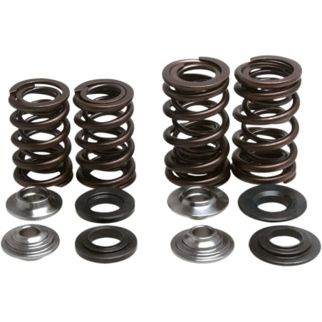 Lightweight Racing Valve Spring Kit