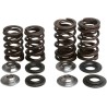 Lightweight Racing Valve Spring Kit