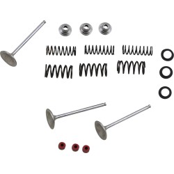 Intake Valve and Spring Kit