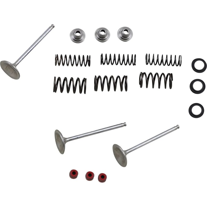 Intake Valve and Spring Kit