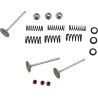 Intake Valve and Spring Kit