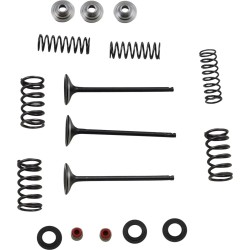 Intake Valve and Spring Kit