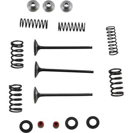 Intake Valve and Spring Kit