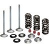 Intake Stainless Conversion Valve and Spring Kit