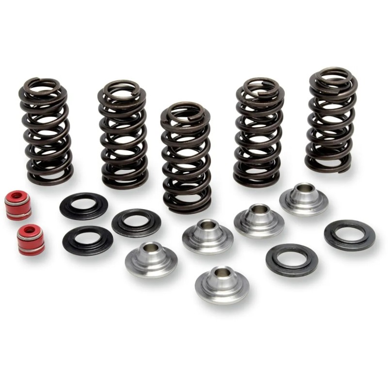 Valve Spring Kit