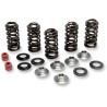 Valve Spring Kit