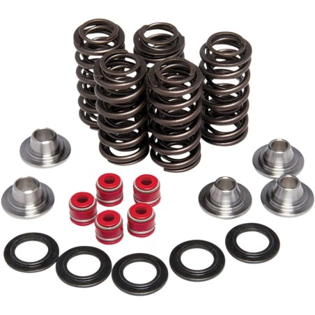 Lightweight Racing Valve Spring Kit