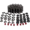 Racing Spring Kit