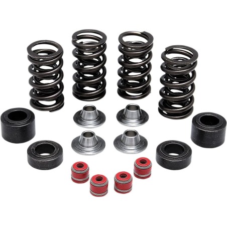 Valve Spring Kit