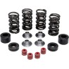 Kit de ressorts de soupape