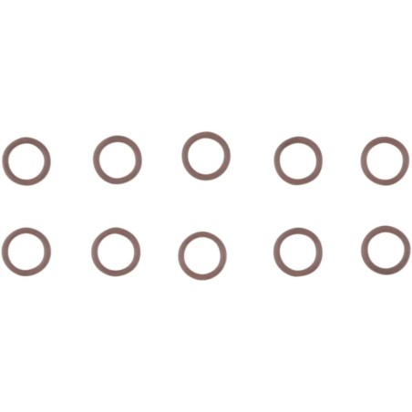 Cam Support Plate Plug O-Ring