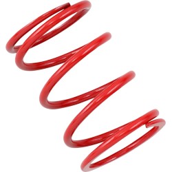 Primary Clutch Spring