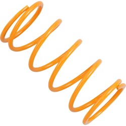 Primary Clutch Spring