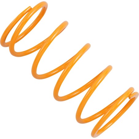 Primary Clutch Spring