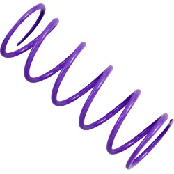 Ressort d'Embrayage Primaire