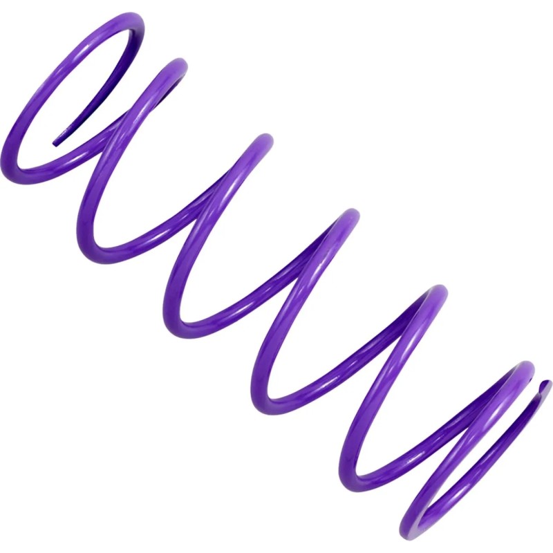 Ressort d'Embrayage Primaire