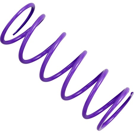 Primary Clutch Spring