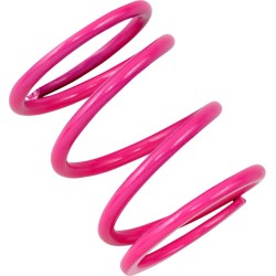 Ressort d'Embrayage Primaire