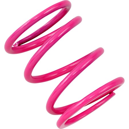 Primary Clutch Spring